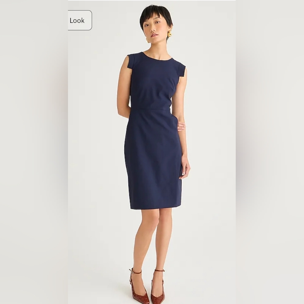 J. Crew Navy Resume Dress
